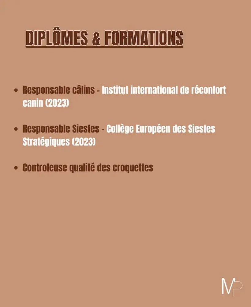 Diplômes et formations de Maïa