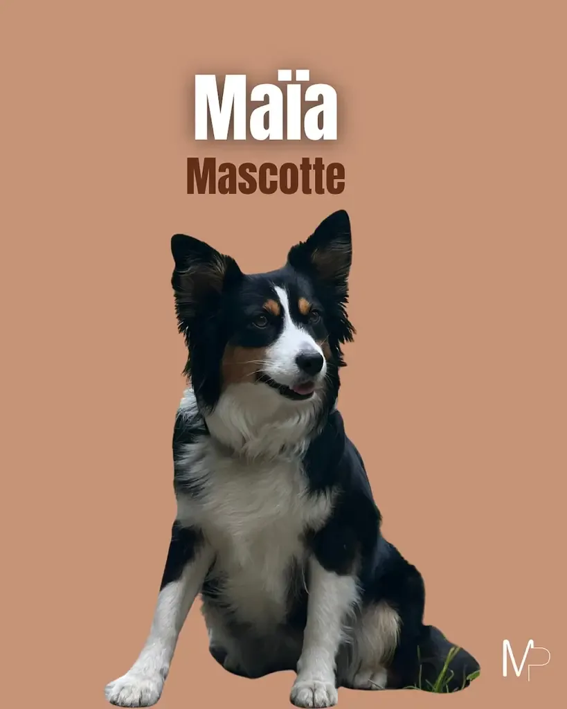 Maïa — Mascotte du cabinet